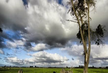 德信体育：武漢三鎮前景：最後兩輪全勝，才能保住出線希望！.