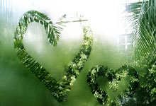 关键一役中国队出现用人失误,今天的伊万科维奇没有那么无辜.